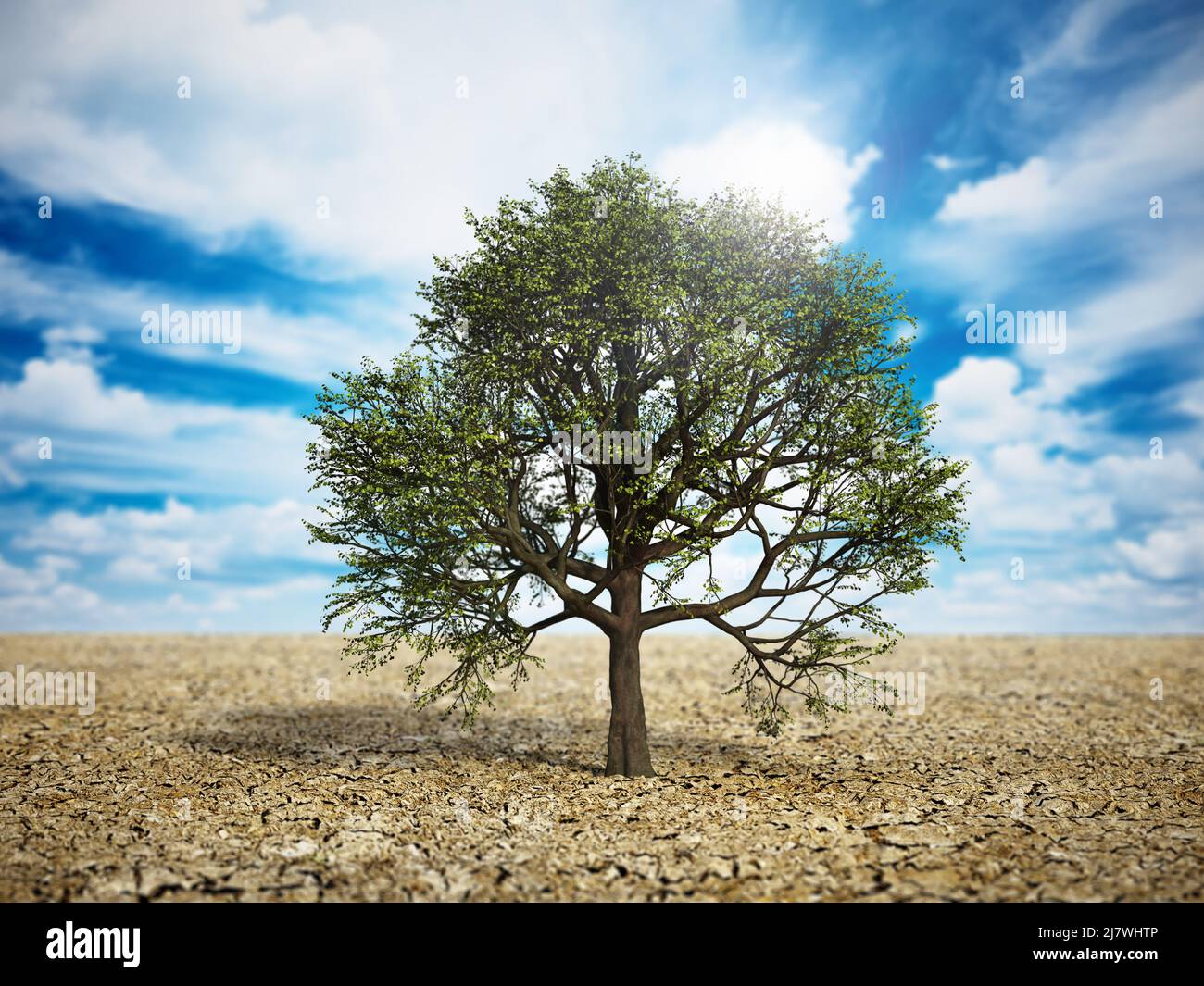 Chêne vert au milieu du désert. Le changement climatique et le réchauffement de la planète. 3D illustration. Banque D'Images