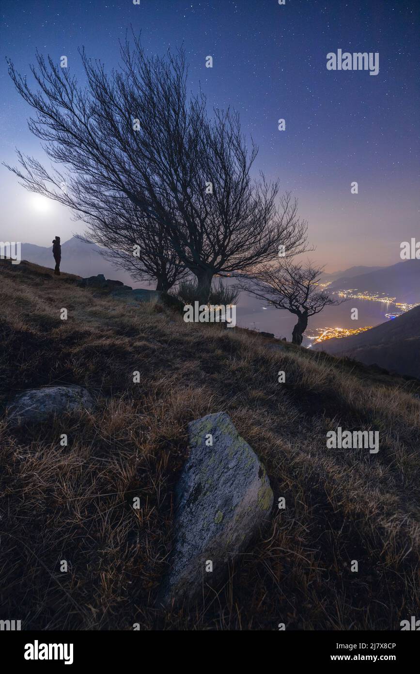 Un photographe de nuit à Montemezzo avec des arbres anciens et illuminés Lac de Côme, Alto Lario, Montemezzo, Côme, Lombardie, Italie, Europe du Sud Banque D'Images