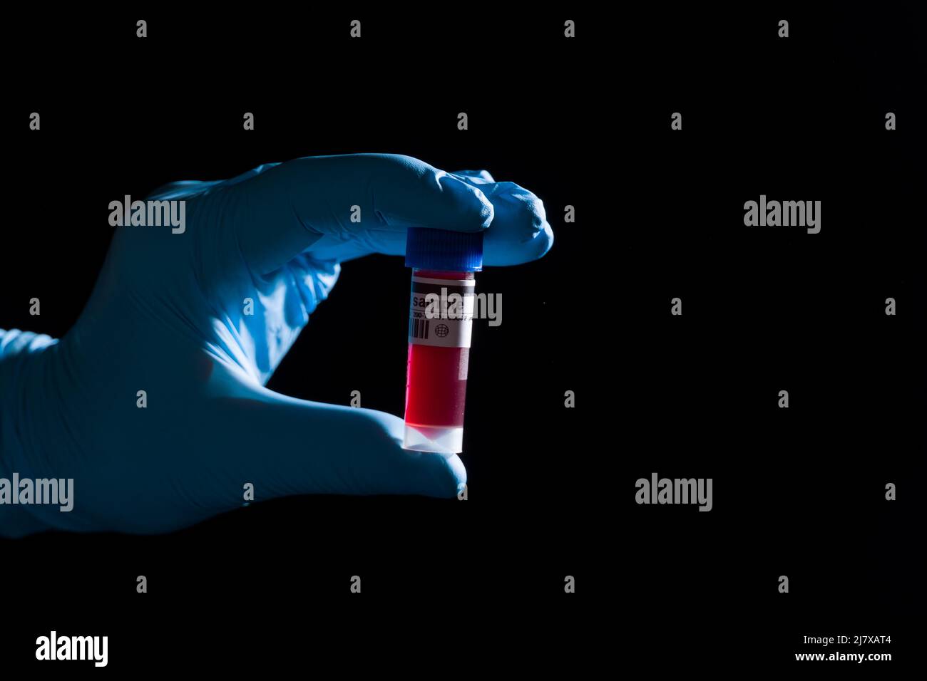 Gros plan de la main du médecin portant des gants médicaux tenant une sonde sanguine Banque D'Images