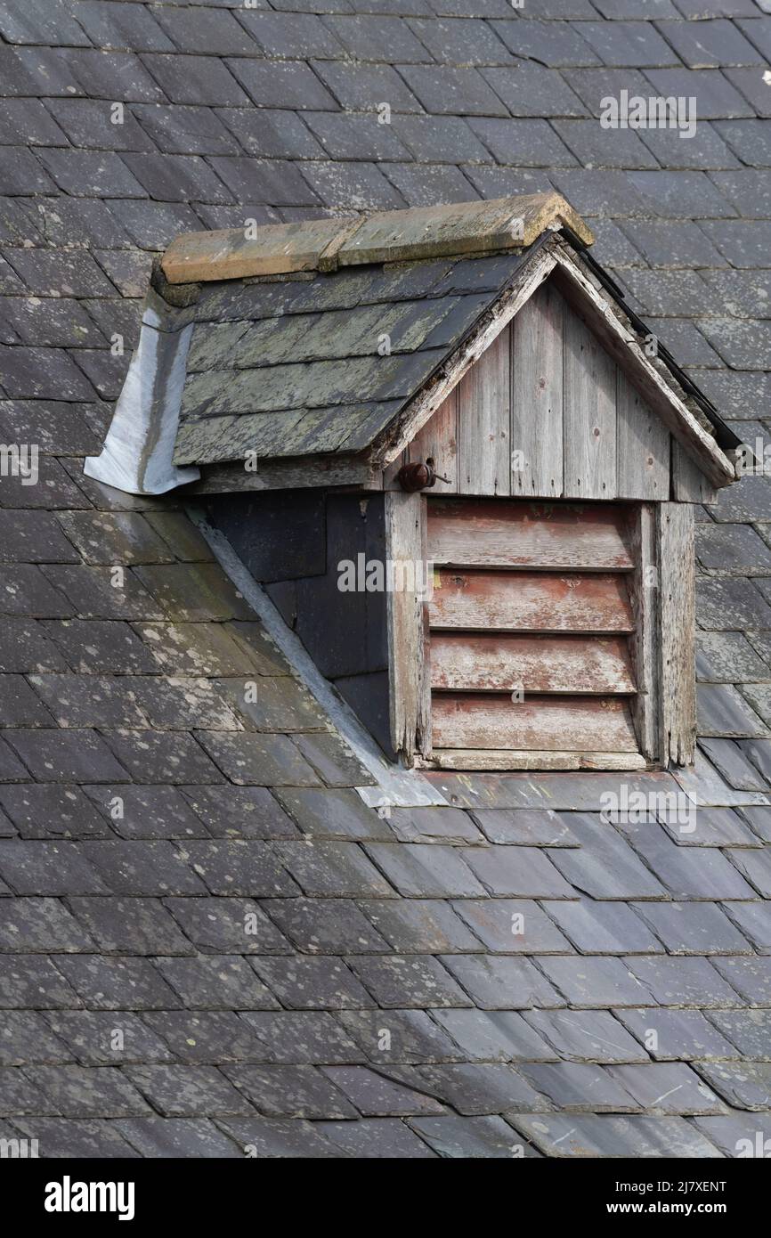 Un évent d'aération sur un toit ardoise avec de la vis sans fin, du bois abîmé et d'autres signes de réparation visibles Banque D'Images