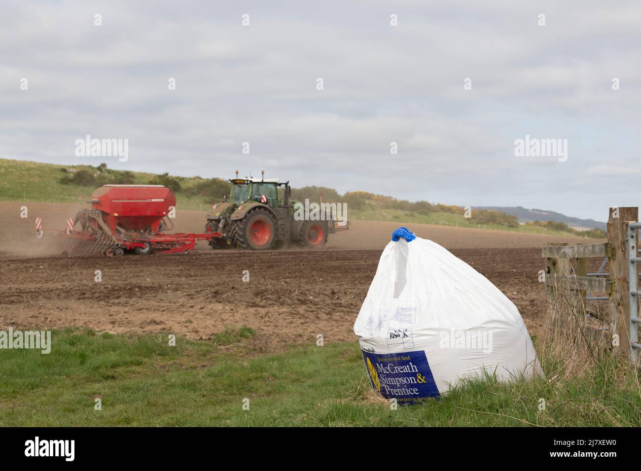 Un fermier semant de l'orge dans un champ labouré au printemps avec le prochain sac de semences à la porte Banque D'Images