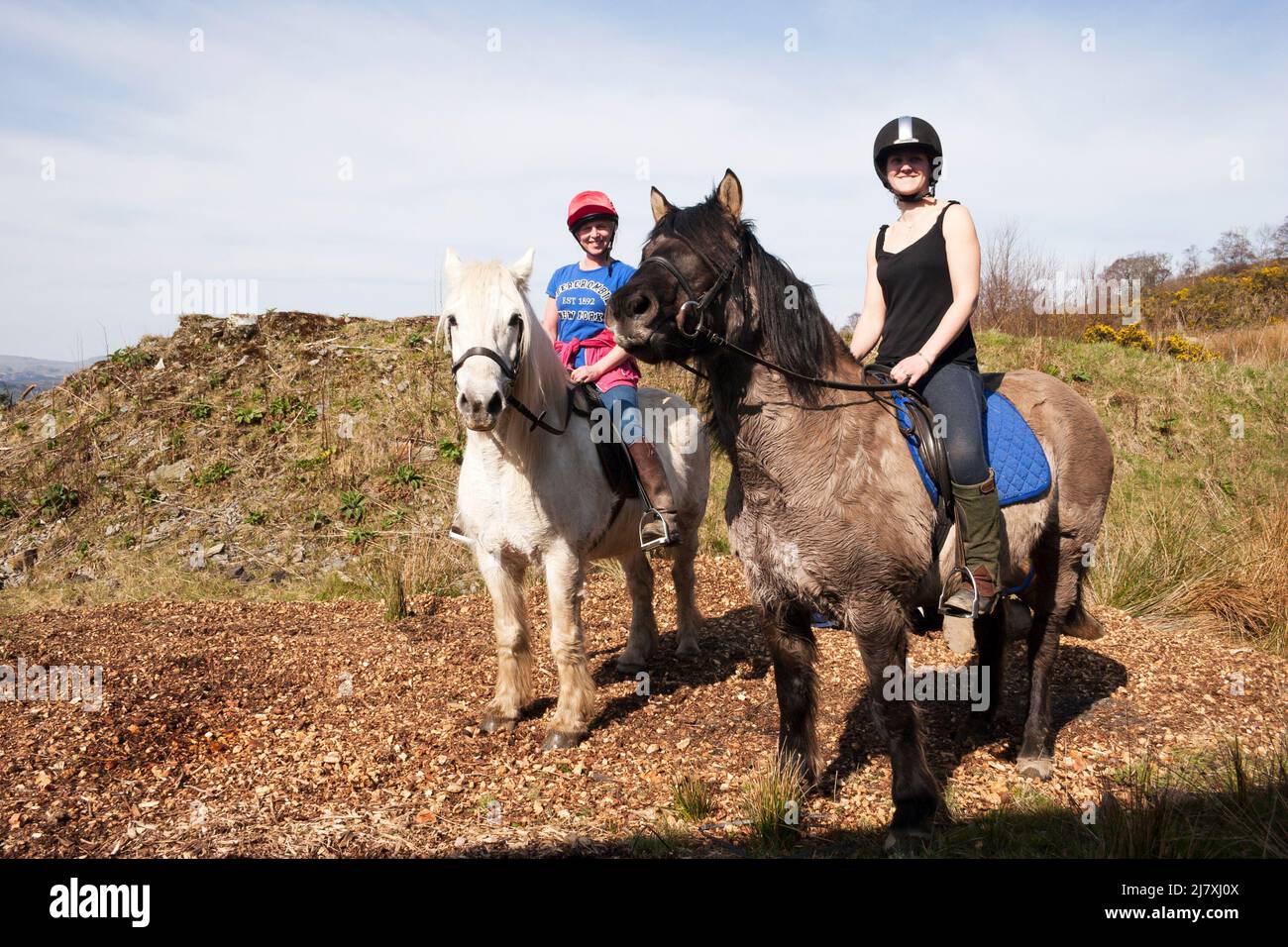 Randonnée poney, Shandon, Argyll, Écosse Banque D'Images