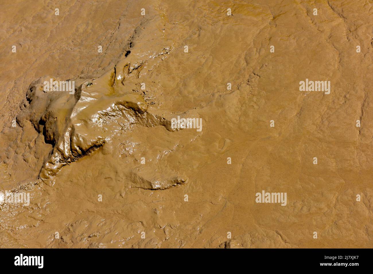 Arrière-plan abstrait de la boue humide fine à marée basse dans l'estuaire du lit de rivière Banque D'Images