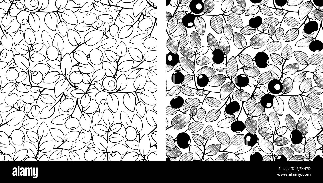 Motif sans couture noir bleuet blanc. Illustration vectorielle faite à la main Illustration de Vecteur