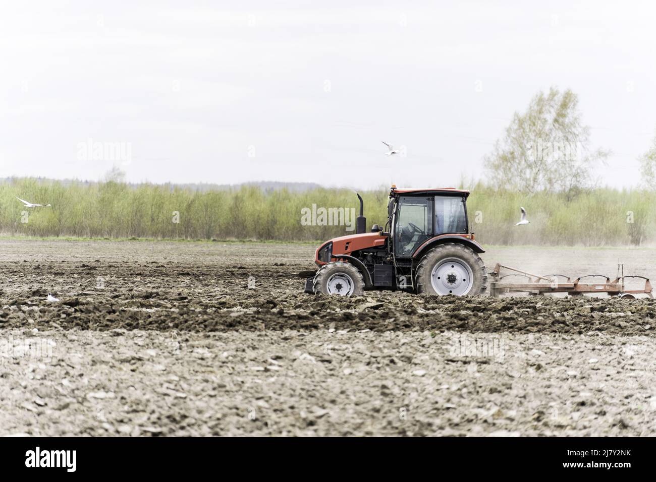 cultivateur de semis dans le cadre des activités de pré-ensemencement au début de la saison de printemps Banque D'Images