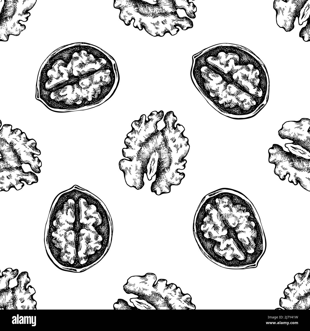 Motif sans couture avec noyer noir et blanc Illustration de Vecteur