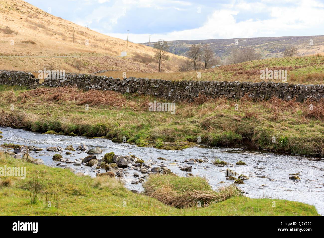 Vue sur un petit ruisseau connu sous le nom de Tarres Water qui traverse Langholm Moor Scotland avec mur de pierre, arbres et collines en arrière-plan Banque D'Images