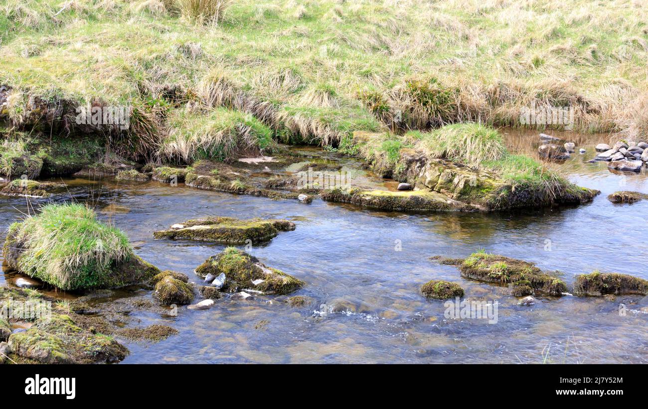Vue sur un petit ruisseau connu sous le nom de Tarres Water qui traverse la lande de Langholm en Écosse Banque D'Images