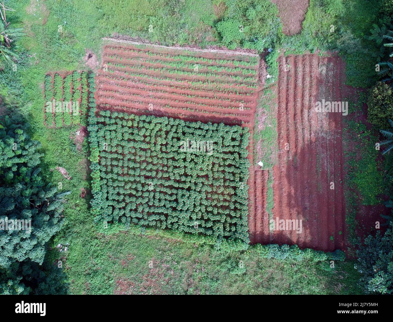 vue aérienne sur les petites terres agricoles en indonésie. Banque D'Images