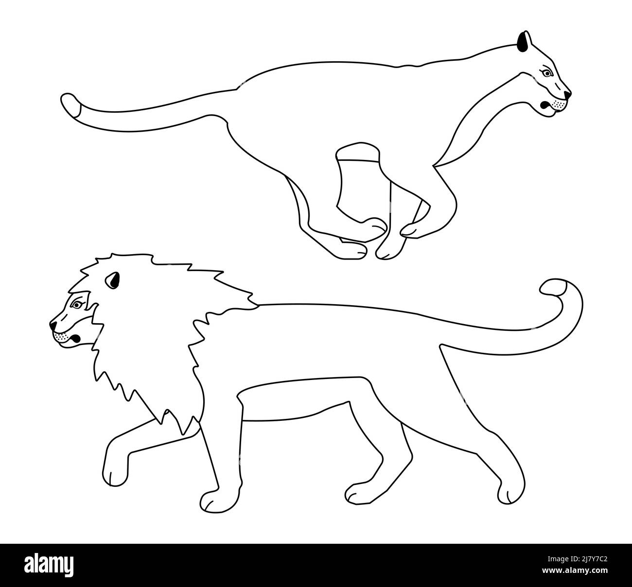 Contour vectoriel plat du lion et de la lioness isolé sur fond blanc Illustration de Vecteur