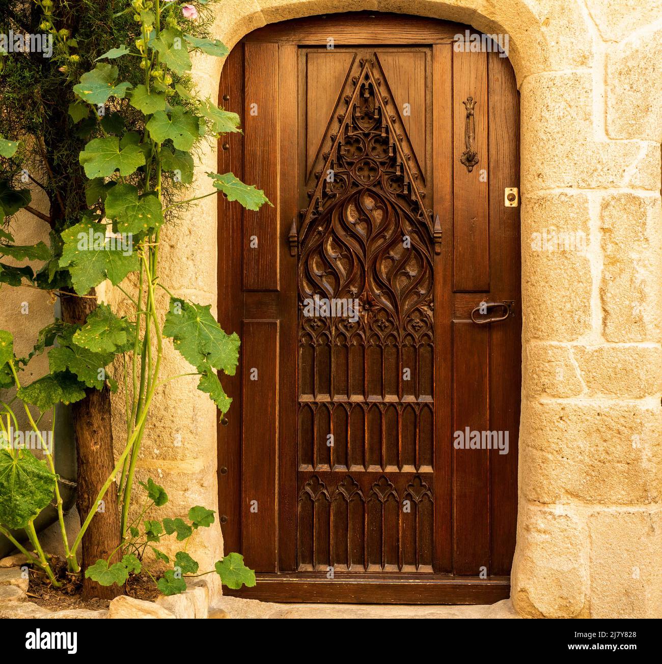 Porte d'entrée en bois sombre artistiquement et richement incrusté, prise de la rue, en Provence, France, encadrée par un mur de pierre beige et une branche verte Banque D'Images