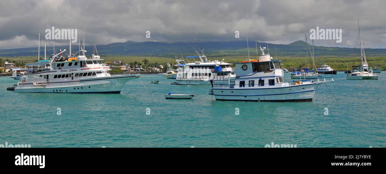 Bateaux à Academy Bay, Puerto Isidro Ayora, île de Santa Cruz, Galapagos, Equateur Banque D'Images