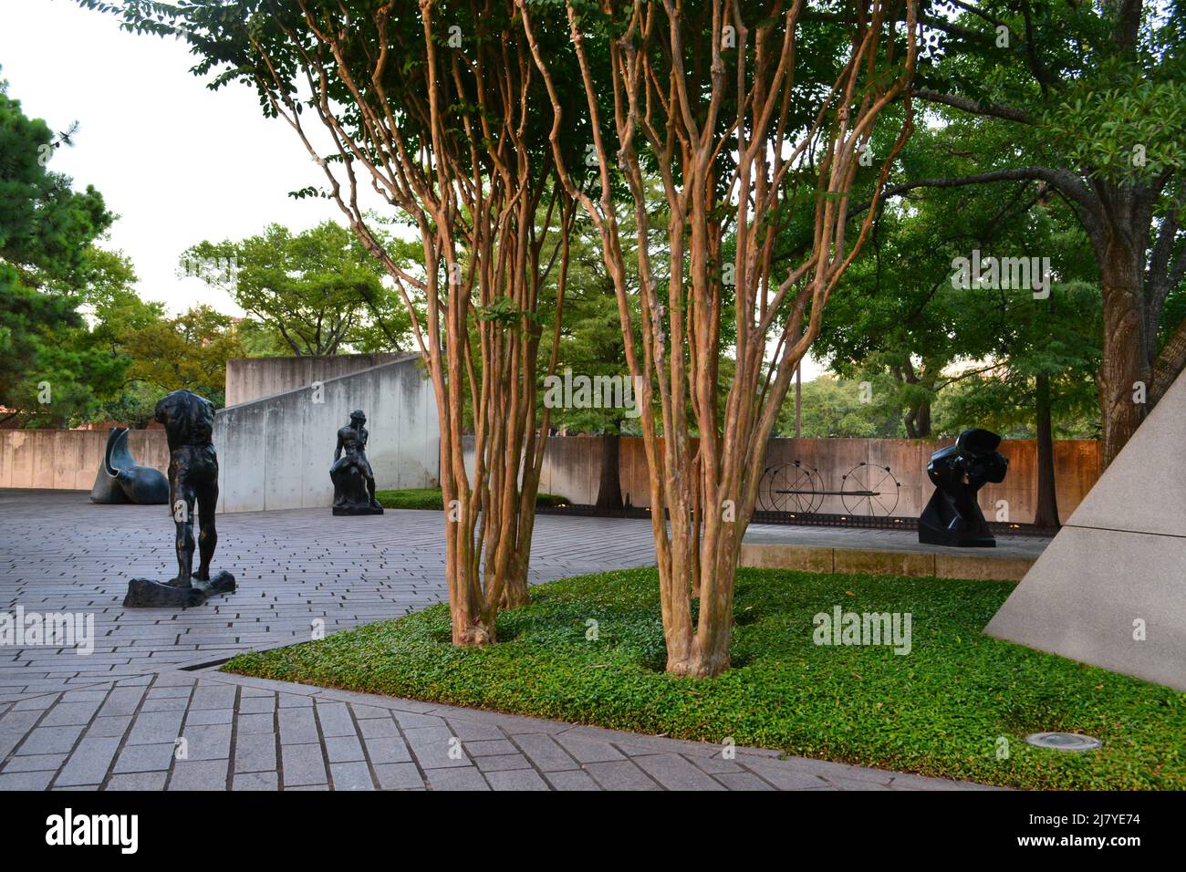 Les arbres et les statues des humains, Cullen Museum Banque D'Images