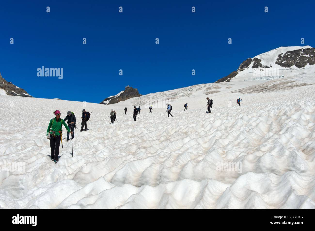 Touristes avec guide de montagne sur la neige du glacier Jungfraufirn, Jungfraujoch, Grindelwald, Oberland bernois, Suisse Banque D'Images