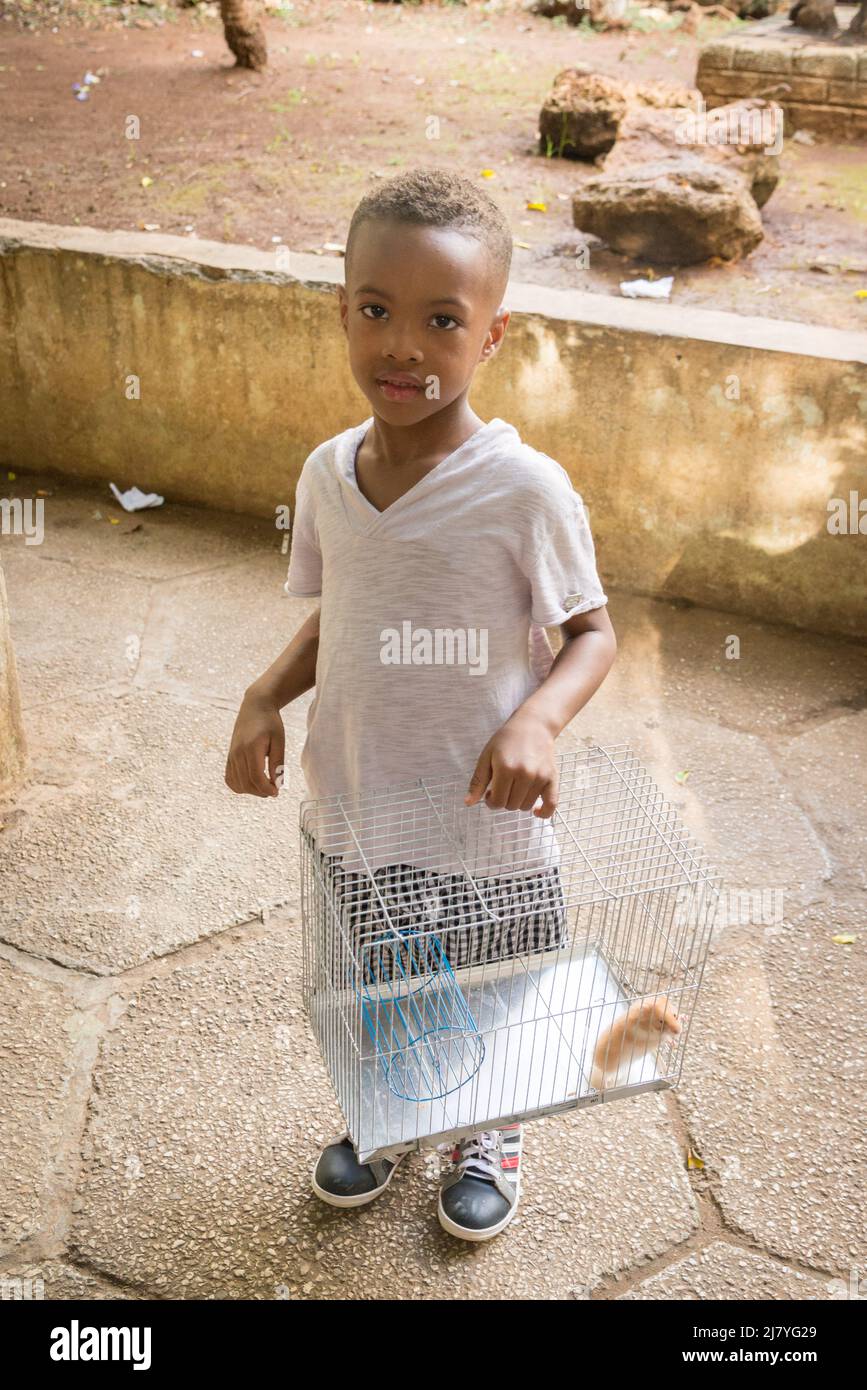 Un garçon reçoit un nouveau hamster d'animal de compagnie au marché aux puces de la Havane Banque D'Images