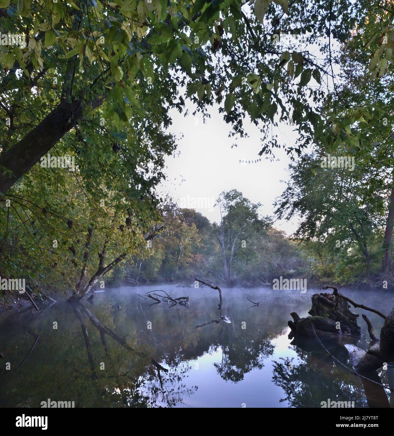 Une image paysage d'une petite rivière sombre sur une matinée froide et brumeuse. Banque D'Images