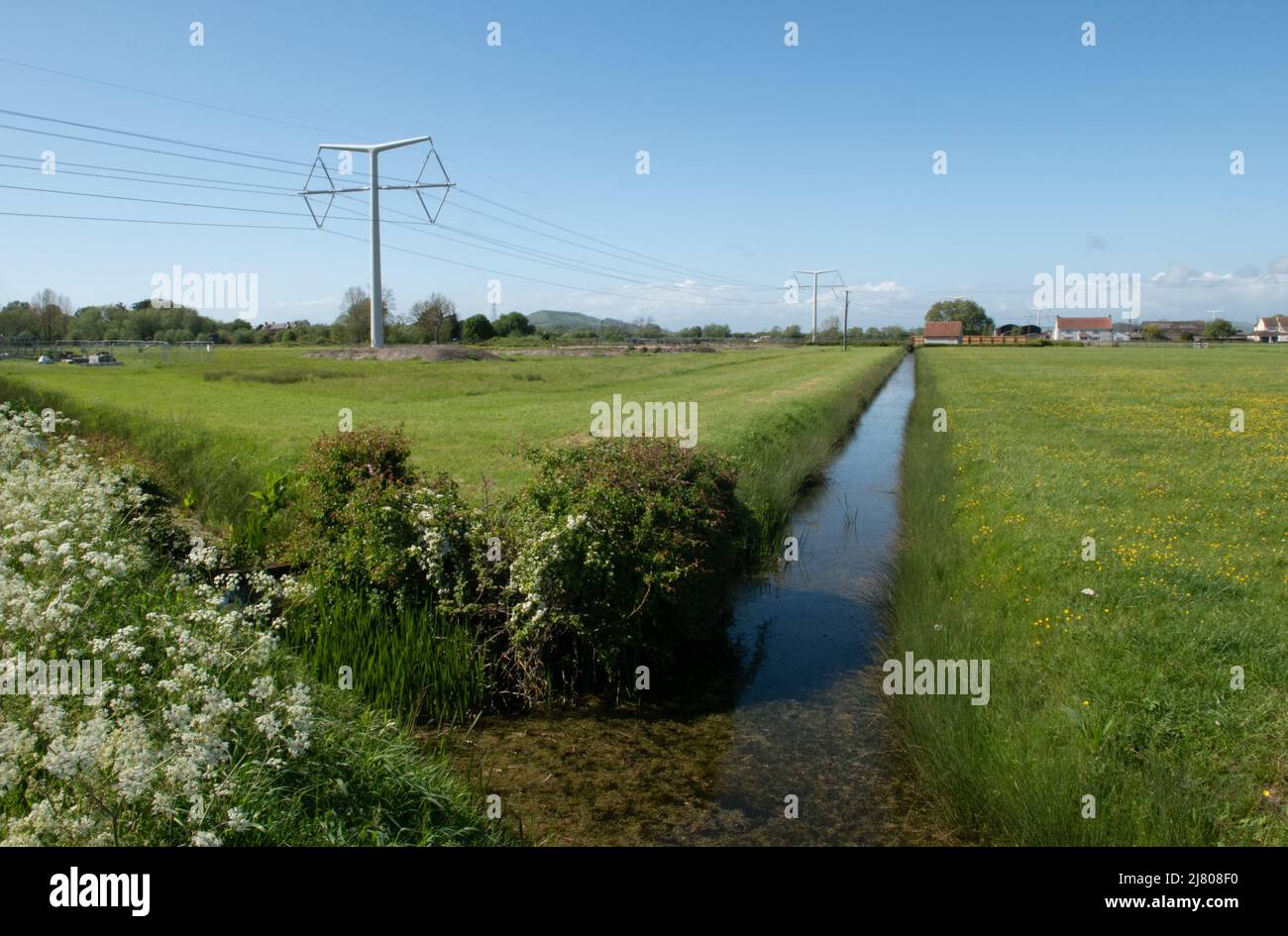 T Pylons formant le lien entre Hinkley point et Avonmouth National Grid Link à Mark, Somerset, Angleterre, Royaume-Uni Banque D'Images