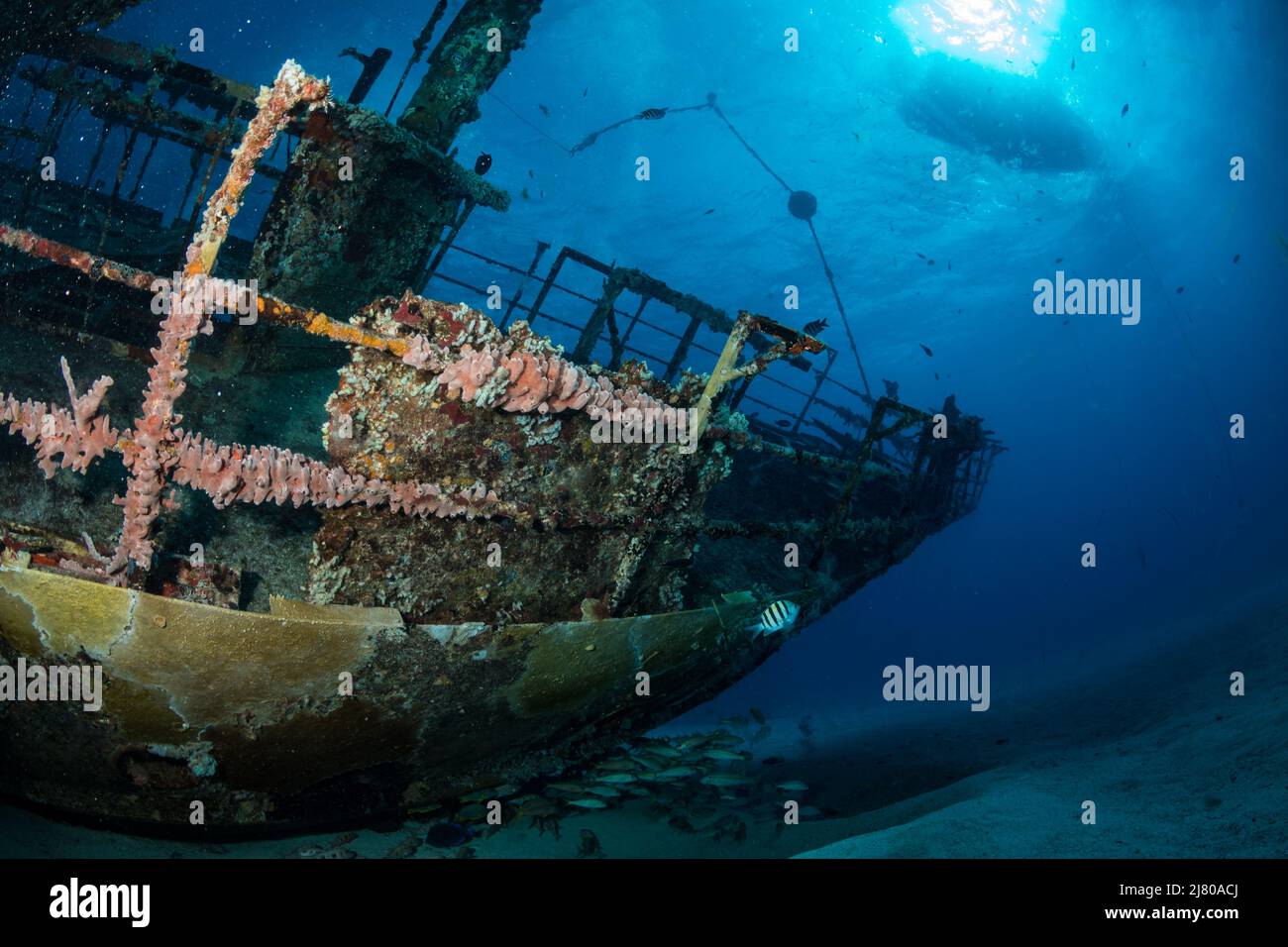 Le pont est situé au large de l'île hollandaise de Sint Maarten, dans les Caraïbes Banque D'Images
