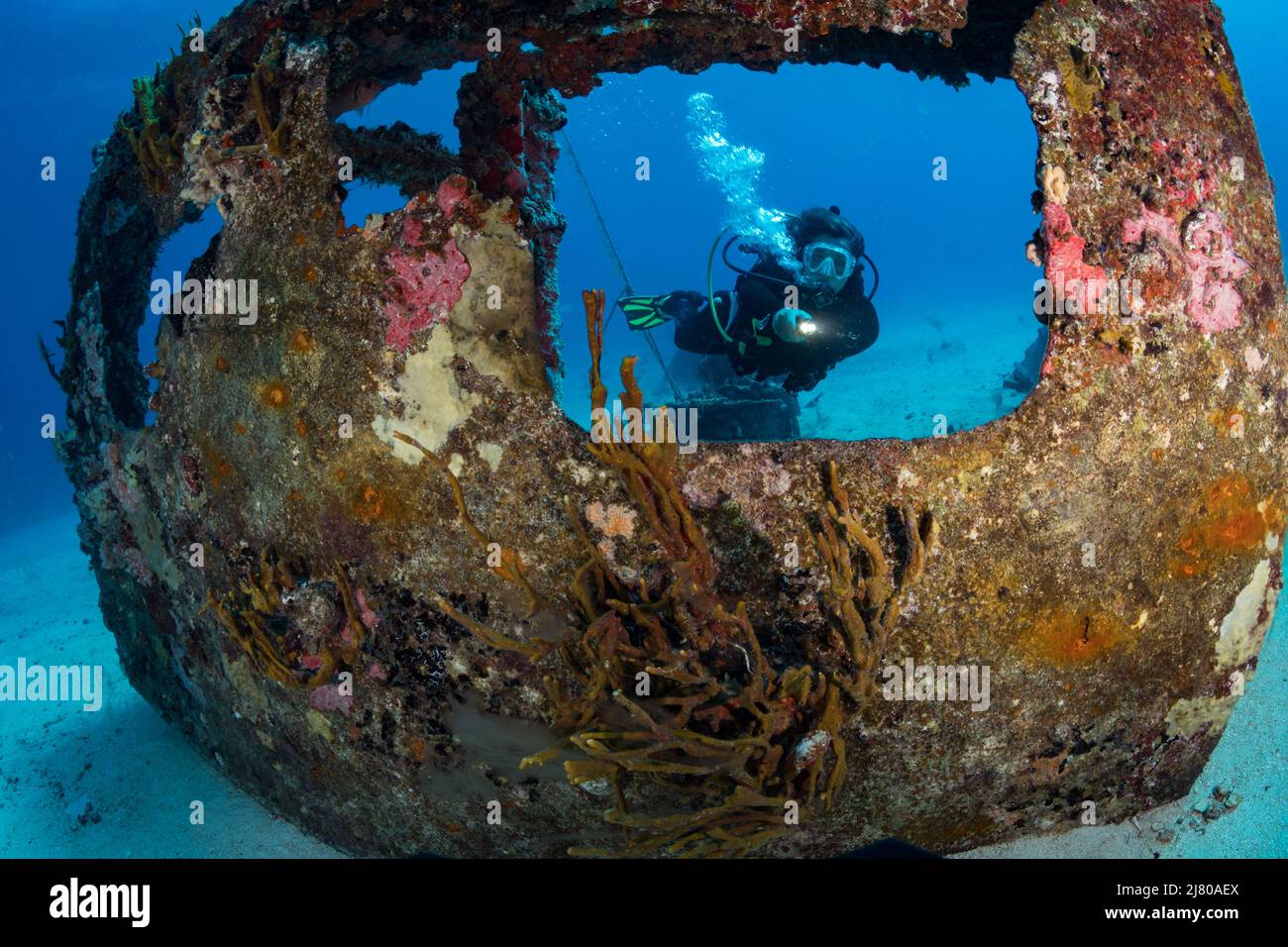 Diver sur le pont Divesite au large de l'île hollandaise des Caraïbes de Sint Maarten Banque D'Images