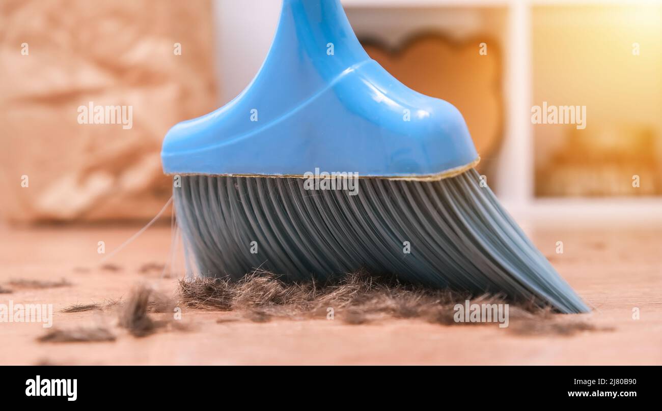 Cheveux après avoir coupé sur le sol. Nettoyage des cheveux à l'aide d'un  balai dans une pelle à poussière Photo Stock - Alamy