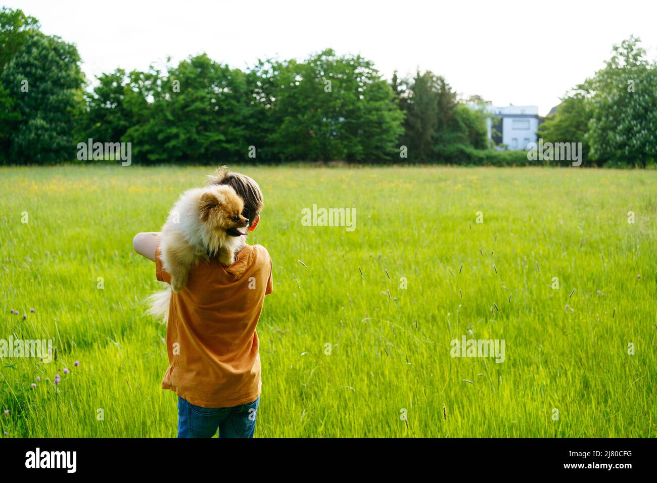 Un garçon traverse un terrain d'été avec un petit chien de Pomeranian avec une nouvelle maison en arrière-plan Banque D'Images