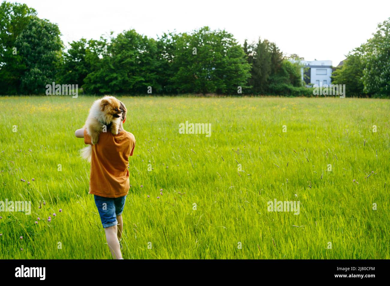 Un garçon traverse un terrain d'été avec un petit chien de Pomeranian avec une nouvelle maison en arrière-plan Banque D'Images