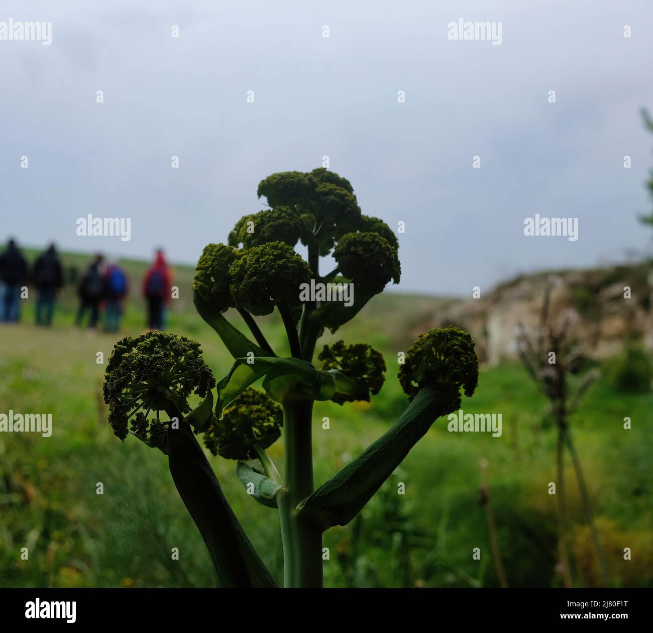 Parc de la Murgia Materana est une région, habitée depuis les temps préhistoriques, conserve encore des stations datant du Paléolithique et du Néolithique Banque D'Images