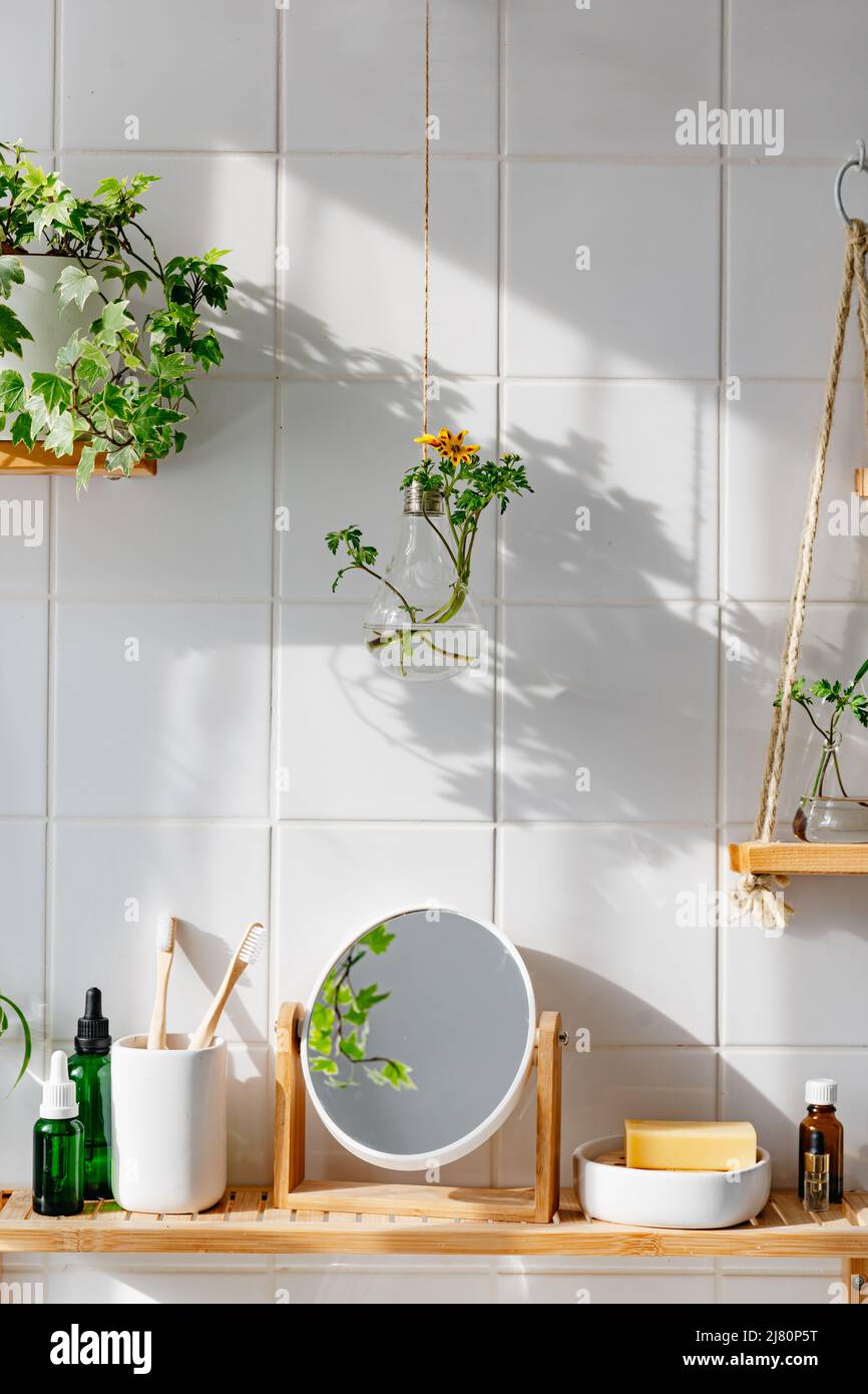 Mur de carrelage blanc avec étagères en bois dans la salle de bains, design écologique et biophile. Pots de fleurs suspendus en verre Banque D'Images