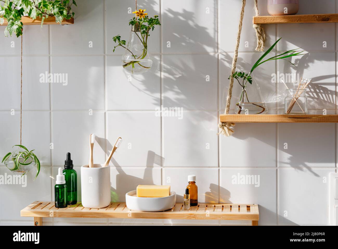 Étagères en bois avec cosmétiques et articles de toilette contre un mur de carreaux blancs au design biophile. Pots en verre suspendus avec plantes vertes Banque D'Images