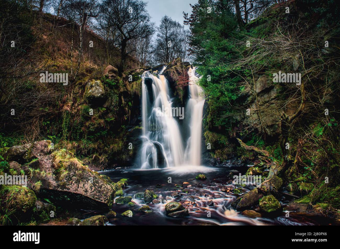 Posforth Gill Waterfall in the Valley of Desolation, Bolton Abbey, Yorkshire Dales National Park, Yorkshire, Angleterre, Royaume-Uni Banque D'Images