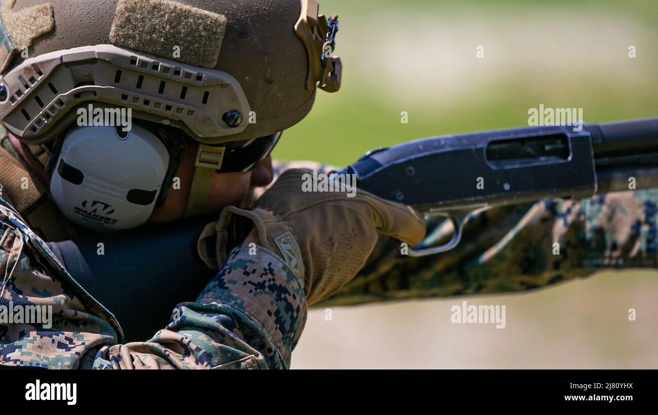 Caporal du corps des Marines des États-Unis Andrei Pilleren, un Bebo, Philippines, instructeur de chef originaire et d'aubier avec 2D Bataillon de génie de combat, 2D Division Marine, tire un fusil de chasse Mossberg 500 lors du cours de leaders de sapeur au Camp Lejeune, Caroline du Nord, 7 mai 2022. Le cours Sapper leaders offre aux chefs d'équipe d'ingénieurs de combat les compétences techniques et tactiques requises pour assurer la mobilité, la contre-mobilité et la capacité de survie aux commandants de compagnies d'infanterie. (É.-U. Photo du corps marin par lance Cpl. Ryan Ramsammy) Banque D'Images