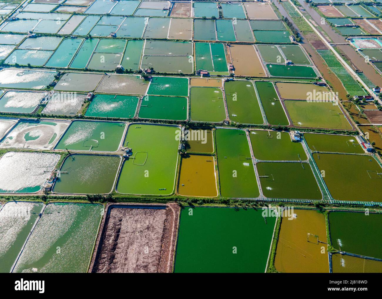 Photo aérienne de fermes de crevettes à proximité de la digue de mer dans les zones côtières de Giao Thuy Dist. Namdinh, Vietnam. Banque D'Images