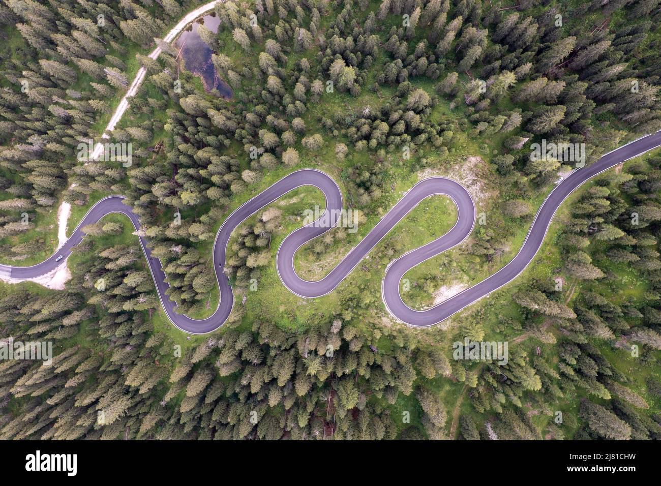 Vue aérienne sur la célèbre route de Snake près de Passo Giau dans les Alpes Dolomites. Route sinueuse de montagnes dans une forêt luxuriante avec de l'épinette verte en été dans le D. Banque D'Images