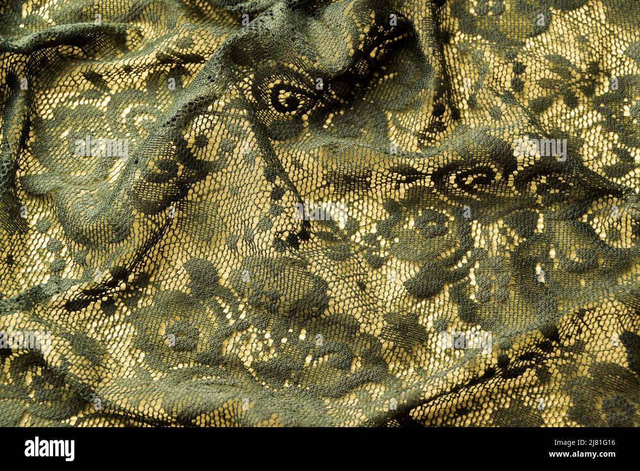 Toile de dentelle verte à l'ancienne, toile de fond en tissu brodé Banque D'Images