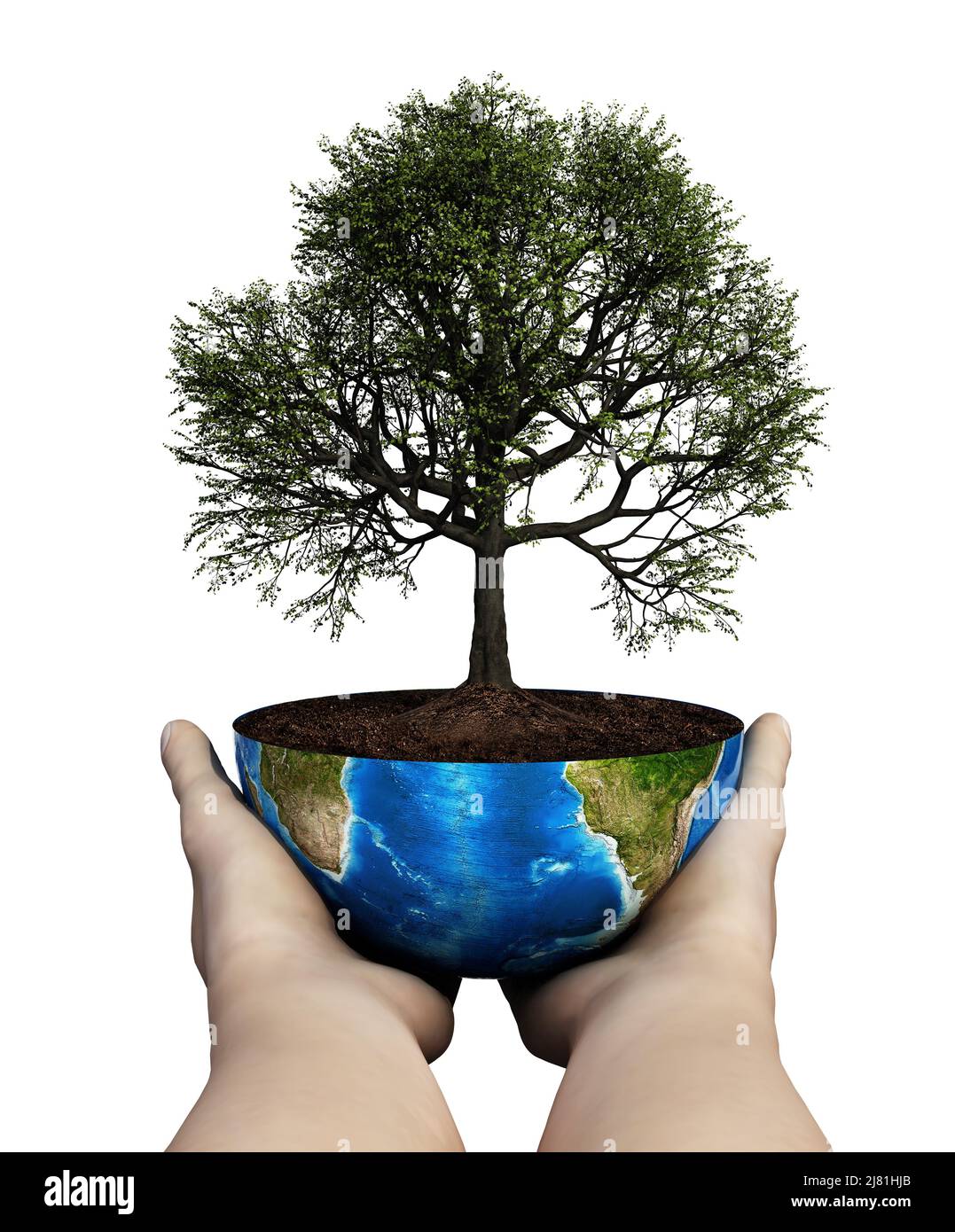 Mains tenant un chêne planté sur un globe. Concept de durabilité. 3D illustration. Banque D'Images