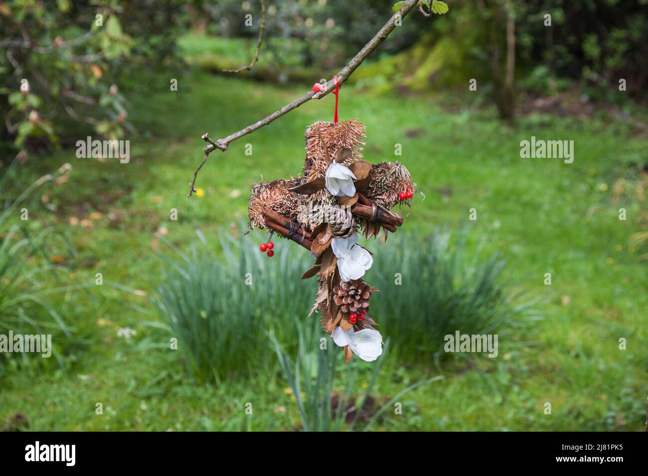 Une croix faite de cônes, de baies rouges, de brindilles et de feuilles de conifères pend d'un arbre dans le jardin de la jonquille de Wordsworth, Grasmere, Lake District, Angleterre, Royaume-Uni Banque D'Images