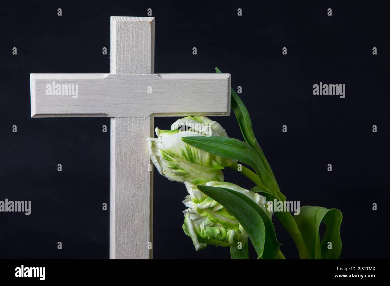 Croix religieuse en bois avec fleurs de tulipe blanches sur fond sombre pour avis nécrologique. Moment de chagrin à la fin d'une vie. Dernier adieu. Banque D'Images