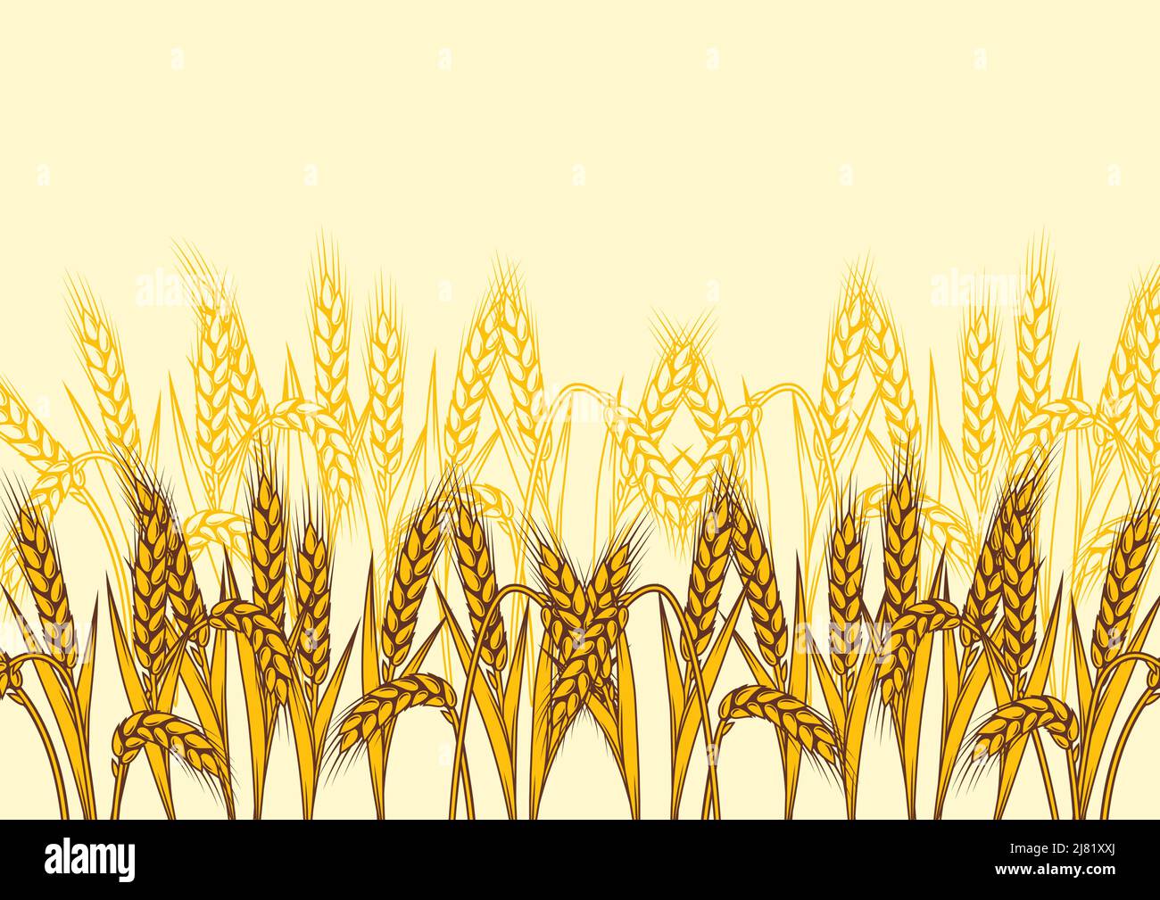 Arrière-plan avec le blé. Image agricole avec des oreilles dorées naturelles d'orge ou de seigle. Illustration de Vecteur