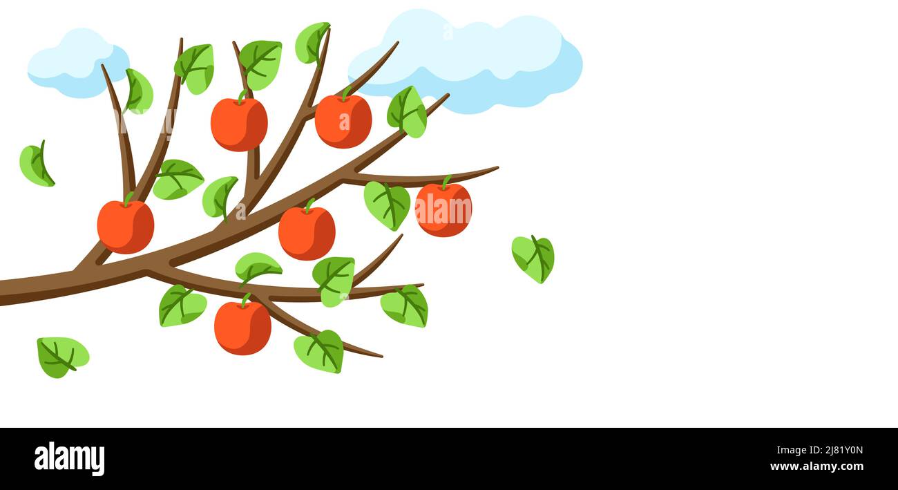 Arbre d'été avec pommes de branche et feuilles. Illustration de la nature saisonnière. Illustration de Vecteur