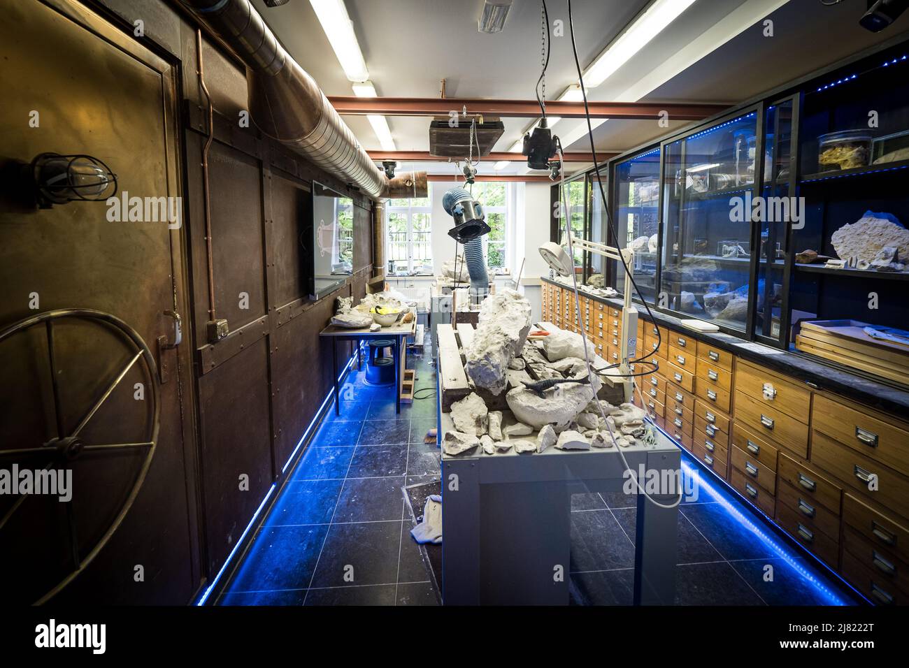 Vue intérieure d'un laboratoire scientifique moderne pour la préparation de spécimens fossiles au Musée d'Histoire naturelle de Maastricht aux pays-Bas Banque D'Images