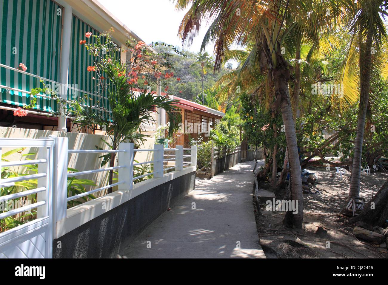 île les Saintes, Guadeloupe Banque D'Images