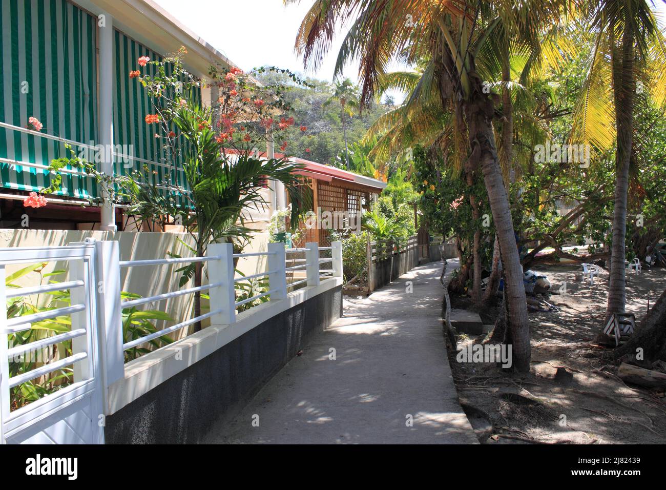 île les Saintes, Guadeloupe Banque D'Images