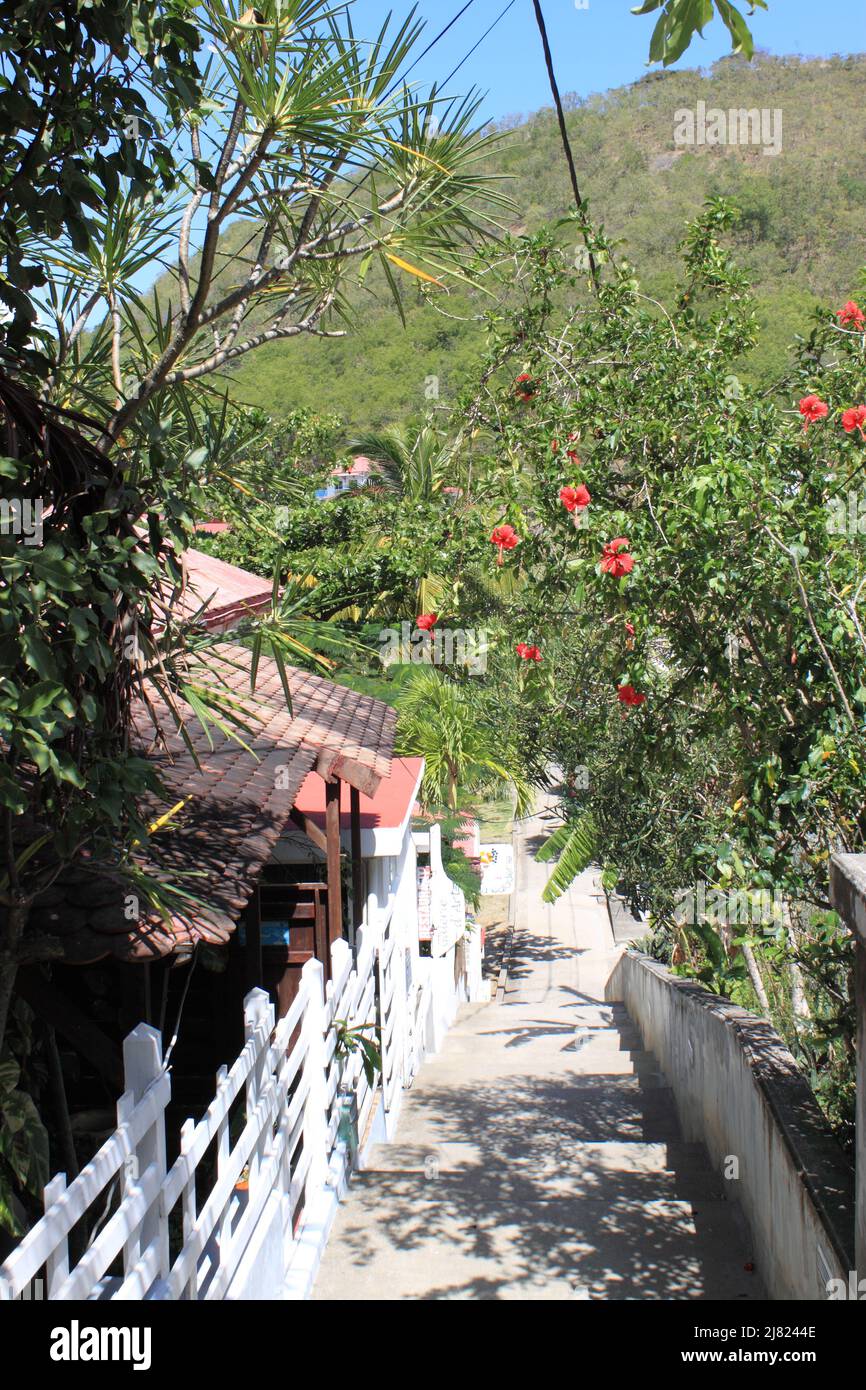 île les Saintes, Guadeloupe Banque D'Images