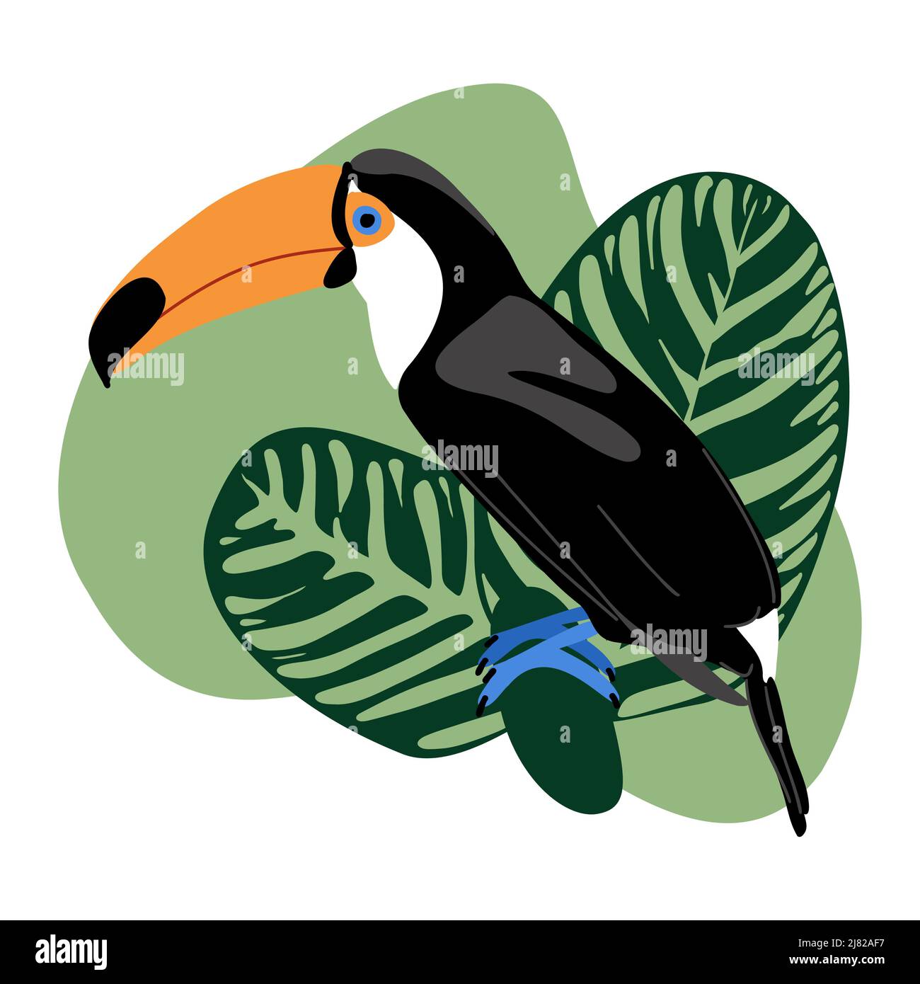 Carte d'été avec des feuilles de toucan et de calathea sur un arrière-plan de spot abstrait, oiseau exotique tropical avec grand bec et feuilles de jungle verte illustrateur vectoriel Illustration de Vecteur