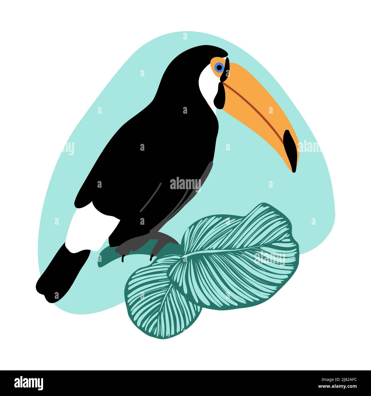 Carte d'été avec toucan et feuilles de calathea sur un arrière-plan abstrait, oiseau exotique tropical avec grand bec et feuilles de jungle verte illustration vectorielle Illustration de Vecteur