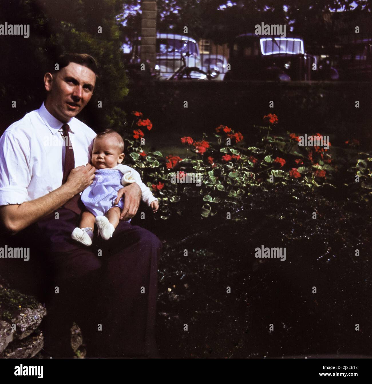 Un père est assis avec son bébé fils dans un jardin à Corton, Suffolk, en 1957. Le père porte une chemise blanche et une cravate sombre. 1950s voitures sont visibles derrière les garde-corps du jardin. Banque D'Images