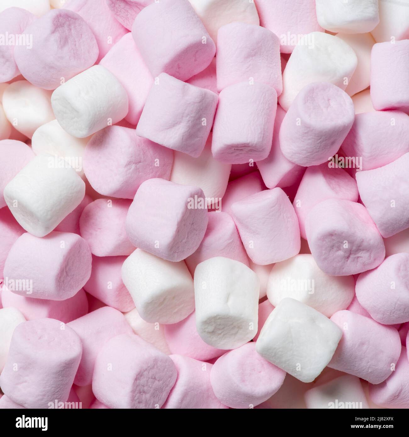 Gros plan de mini guimauves roses et blanches souvent utilisées dans les recettes de routes rocheuses et comme garniture sur les boissons chaudes au chocolat. Banque D'Images