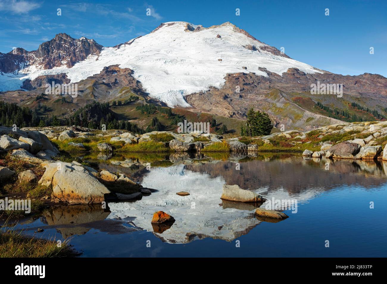 WA21559-00...WASHINGTON - Mont Baker réfléchissant dans un petit tarn le long de la piste Park Butte dans l'aire de loisirs nationale du Mont Baker. Banque D'Images