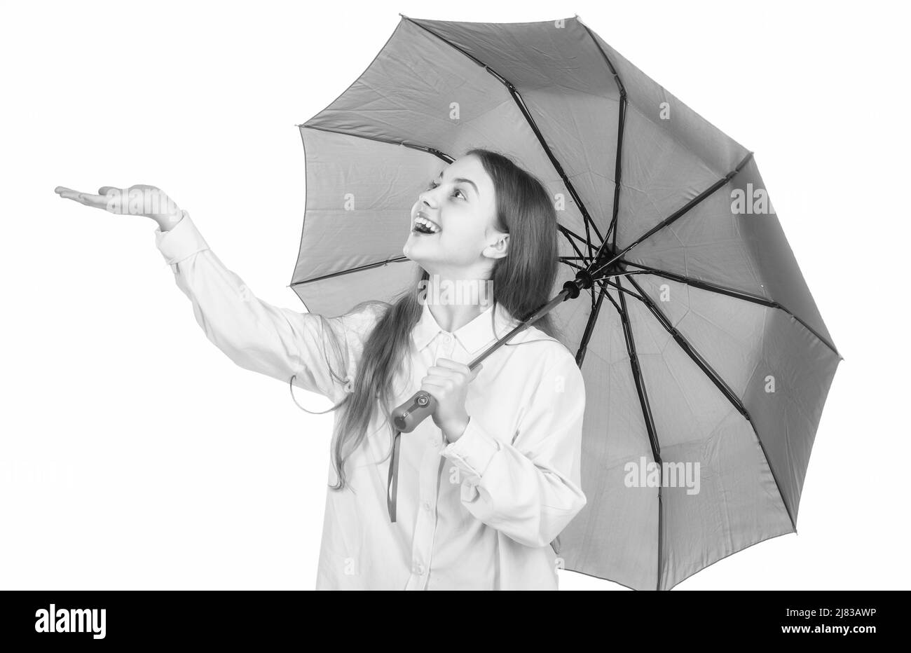 bonne fille élégante attrape raindrop isolé sur blanc. gaie enfant tient le parasol rose. Banque D'Images