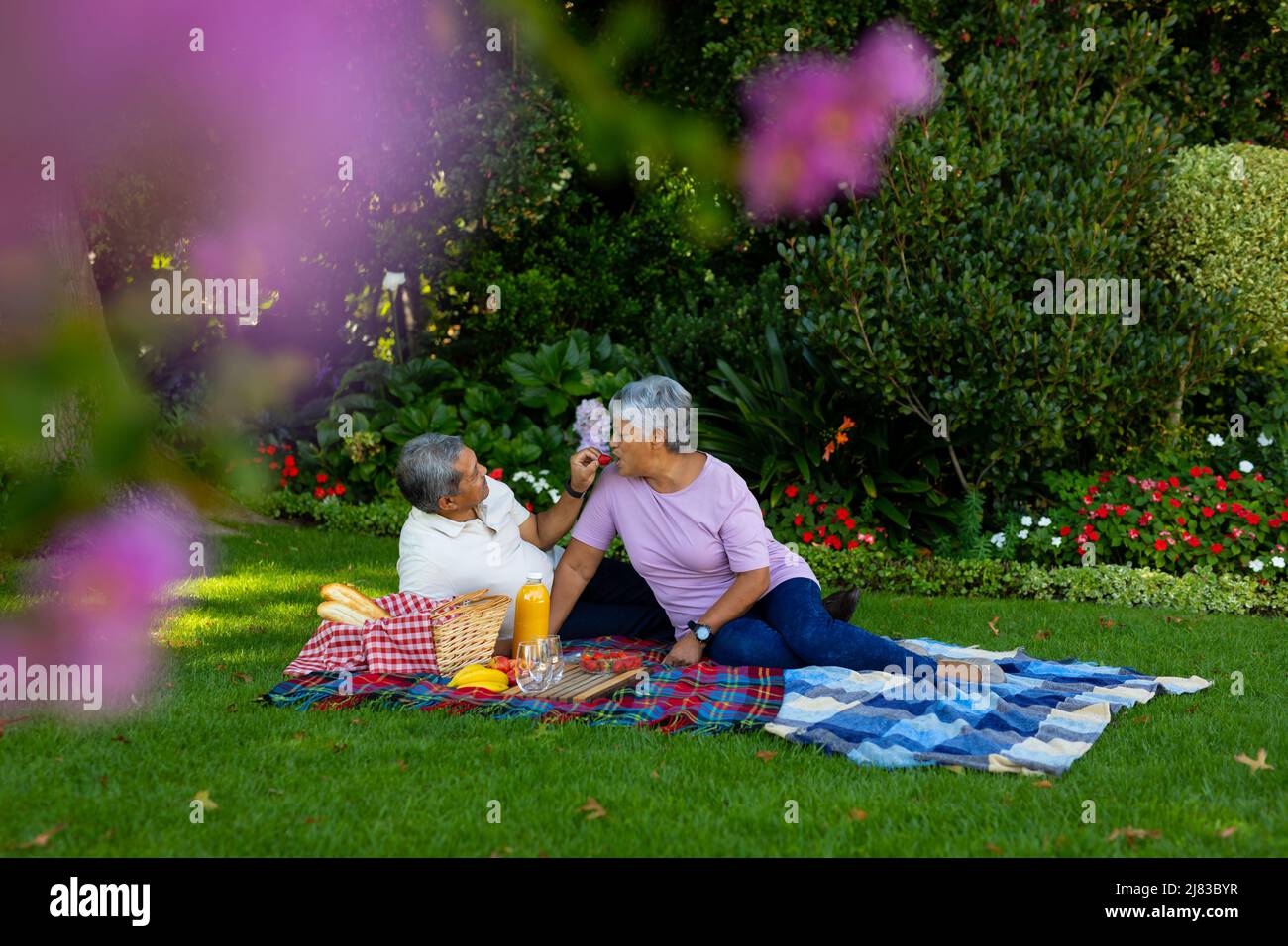 Homme aîné biracial nourrissant la fraise à la femme tout en étant assis sur une couverture contre les plantes dans le parc Banque D'Images